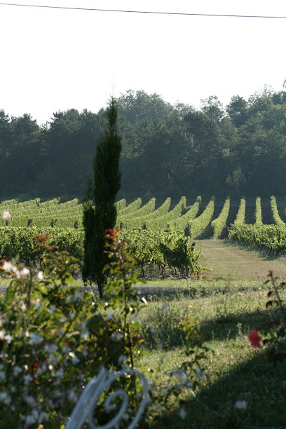 Cyprès Des Vignes, Vignoble à Beaumontois en Périgord