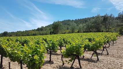 Domaine De Foltodon, Vignoble à Saint-Côme-et-Maruéjols