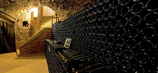 Champagne André Tixier & Fils, Vignoble à Chigny-les-Roses