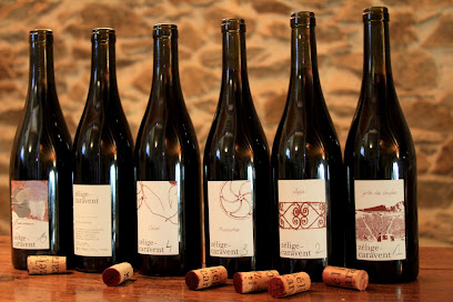 Vin Bio - Zélige-Caravent Vignoble à Corconne