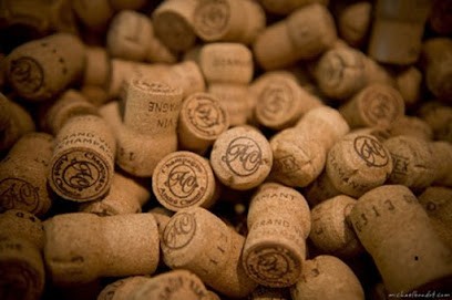 CHAMPAGNE ANDRÉ CHEMIN, Vignoble à Sacy