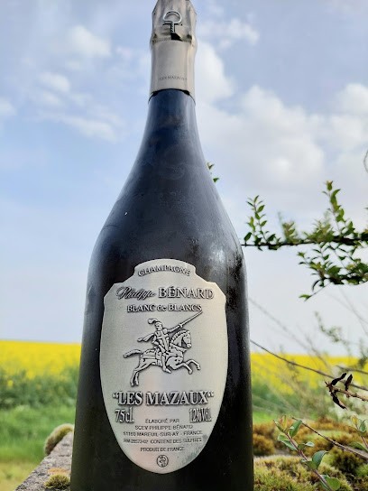 Scev Philippe Benard, Vignoble à Aÿ-Champagne