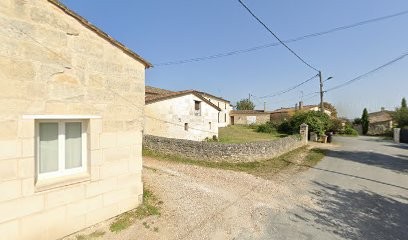 Robin et Filles Vignobles EARL, Vignoble à Moulon
