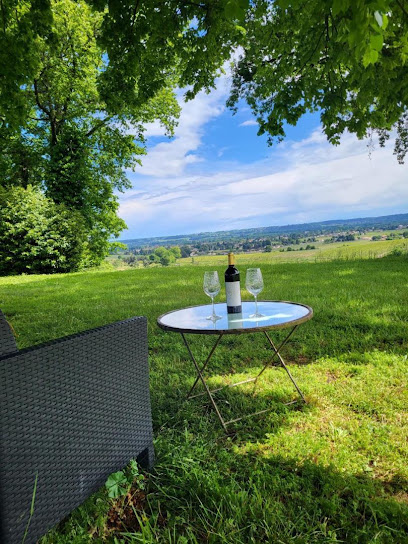 Château Moya Vignoble à Saint-Magne-de-Castillon