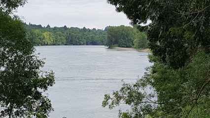 Pauvert Pascal, Vignoble à Orée d'Anjou