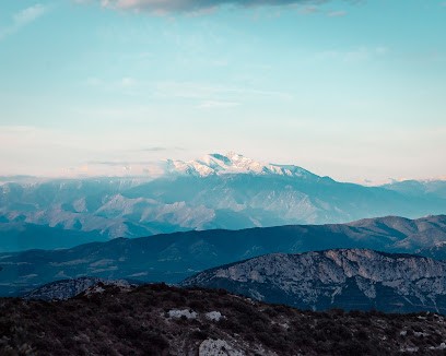 Domaine Peter Sichel, Vignoble à Cucugnan