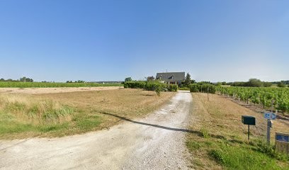 Thouet-Bosseau Jean-Baptiste, Vignoble à Bourgueil