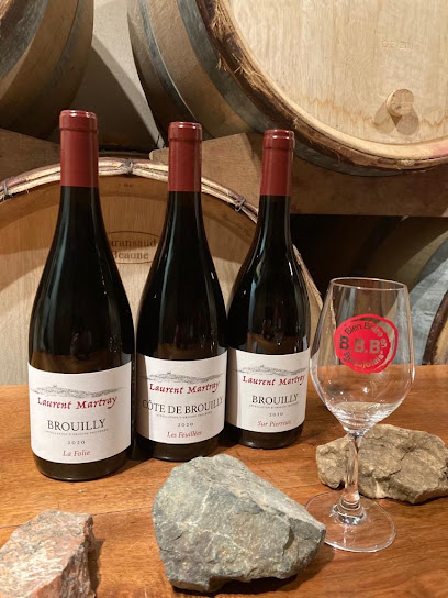 Domaine Laurent Martray Vignoble à Odenas
