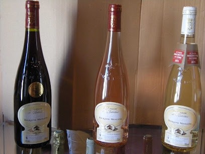 Domaine De Rabelais, Vignoble à Veuzain-sur-Loire