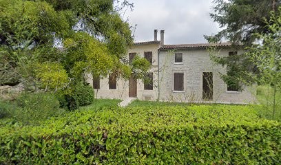 Nebout Didier, Vignoble à Saint-Germain-du-Seudre