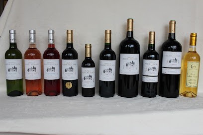 SCEA du Château Pascaud, Vignoble à Rions