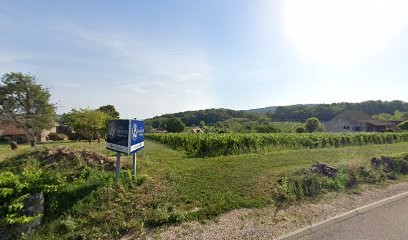 Domaine Narjoux Normand, Vignoble à Saint-Martin-sous-Montaigu