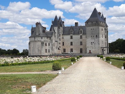 Château Du Coudray Montpensier, Vignoble à Seuilly