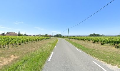 Château Coubet, Vignoble à Villeneuve