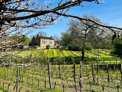 Domaine LaLande, Vignoble à Veyrines-de-Domme
