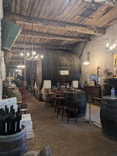 The Castle Massamier Mignarde, Vignoble à Pépieux