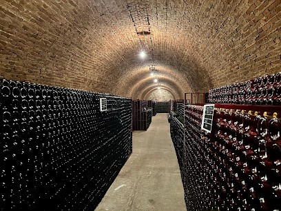 Champagne Daniel Dumont, Vignoble à Rilly-la-Montagne