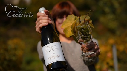 Domaine des Coeuriots, Vignoble à Vézelay