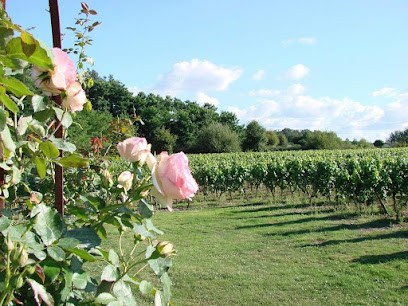 Château Le Barry, Vignoble à Saint-Genès-de-Fronsac