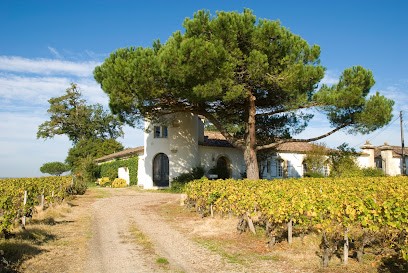 Château Lamothe Despujols, Vignoble à Sauternes