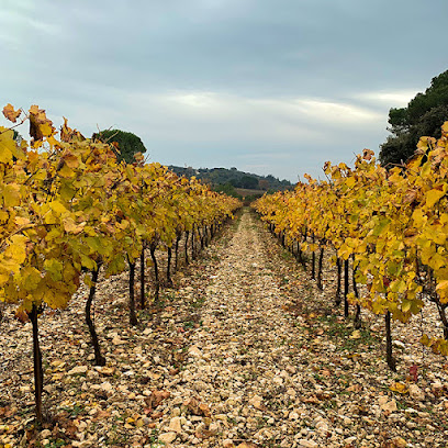 Domaine Du Brusquié Vignoble à Saint-Mamert-du-Gard