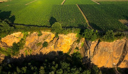 Muscadet Pierre-Luc BOUCHAUD, Vignoble à Saint-Fiacre-sur-Maine