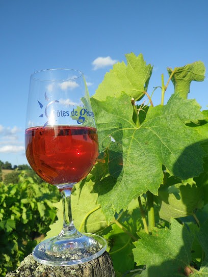 Domaine de la Plaine, Vignoble à Préneron