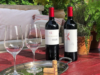 Chateau Blanzac, Vignoble à Saint-Magne-de-Castillon