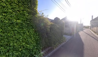 Saint Vincent (SAS), Vignoble à Loches-sur-Ource