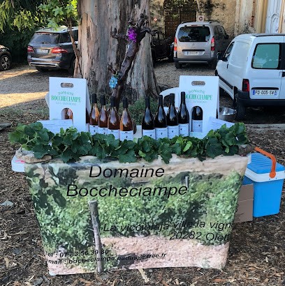 Domaine Boccheciampe, Vignoble à Oletta