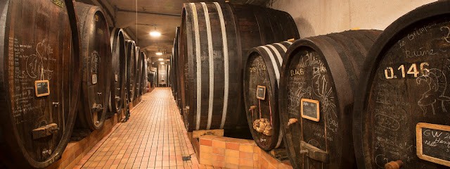 Domaine Josmeyer, Vignoble à Wintzenheim