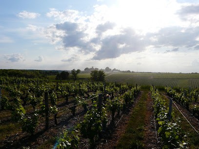 Domaine Michaud, Vignoble à Noyers-sur-Cher