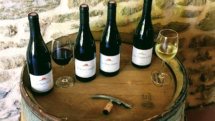 Domaine De La Cure, Vignoble à Grillon