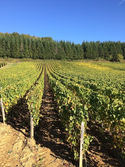 Domaine Louis DORRY, Vignoble à Bussières