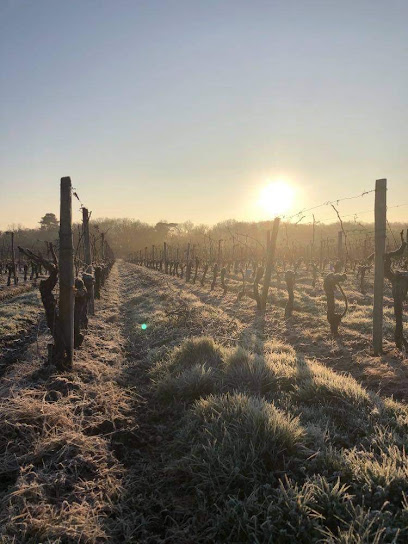 Clos De Verdun- Vignoble Joannon Vignoble à Valeyrac