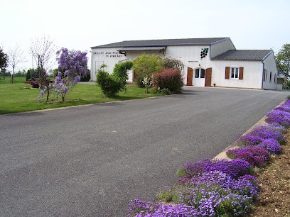 Domaine Jean-Paul et Jean-Luc Millet (SCEA DU BRIOU) Vins de Sancerre, Vignoble à Veaugues