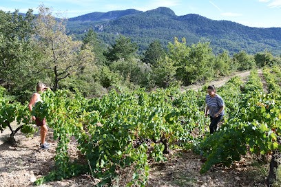 Mas Fabregous, Vignoble à Soubès