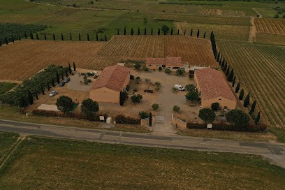 Domaine Des Orjouls, Vignoble à Saint-Jean-de-Fos