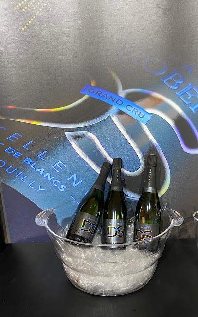 Champagne DS ROBERT, Vignoble à Chouilly