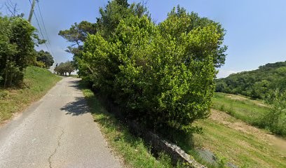 Domaine D'irousse, Vignoble à Saint-Alexandre