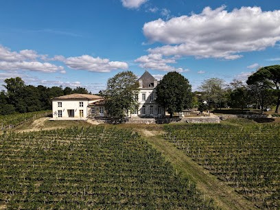 Vineyards in Tournefeuille, Vignoble à Néac