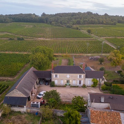DOMAINE DE L'ARGURAY, Vignoble au Puy-Notre-Dame