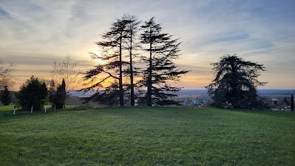 Clos Jean - Vignobles Bord, Vignoble à Loupiac