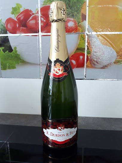 Champagne Durdon Jackie, Vignoble à Vincelles