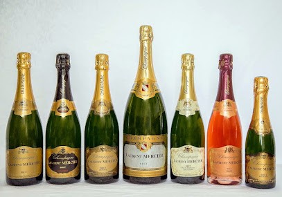 Champagne Laurent Mercier, Vignoble à Trélou-sur-Marne