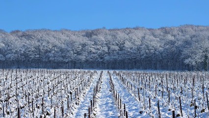 champagne geoffroy, Vignoble à Aÿ-Champagne