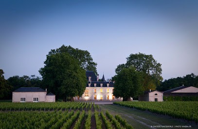 Château Cantemerle, Vignoble à Macau
