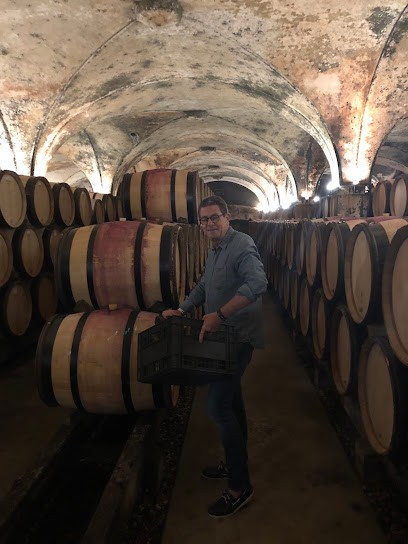 Charles ANTONIN, Vignoble à Lyon 06