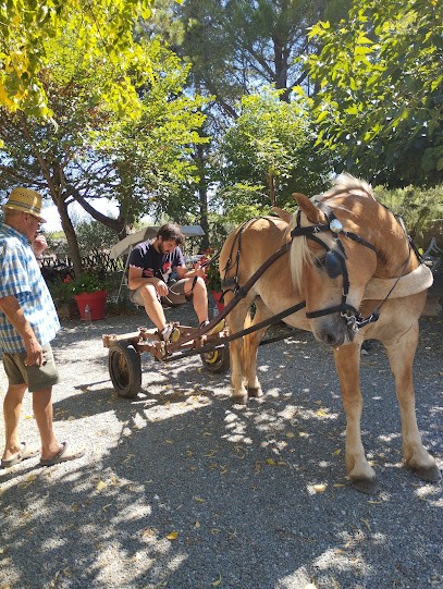 Domaine Régazel, Vignoble à Douzens