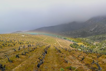 La Grande Vigne M3DP, Vignoble à Saint-Paul-de-Fenouillet